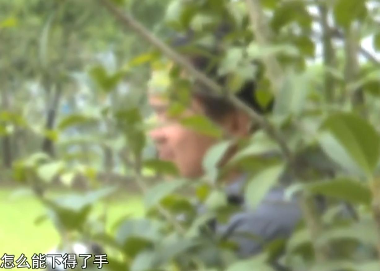 13岁女孩电梯内两次遭侵犯,安徽13岁女孩电梯内两次遭侵犯