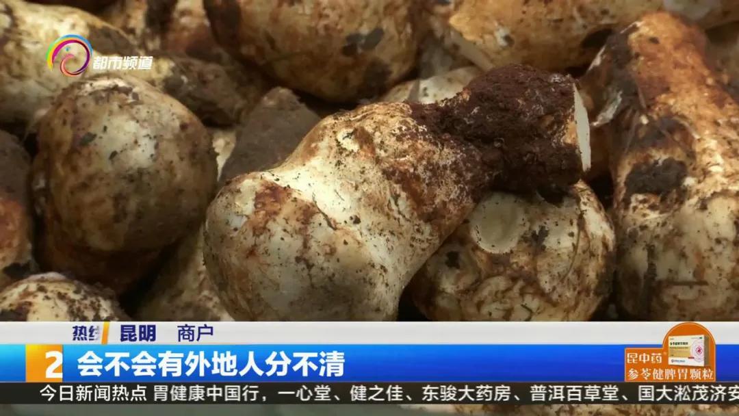 买到假虫草怎么检测,西藏买到假松茸