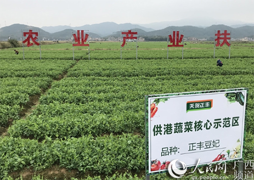 老百姓的菜篮子贺州,粤港澳大湾区菜篮子工程