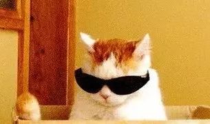 淘宝直播带货真的有那么多人买么,淘宝直播带货需要多少粉丝