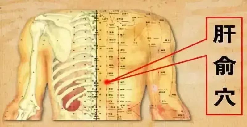 肝受损，身体有这些异常反应？！要提高警惕！