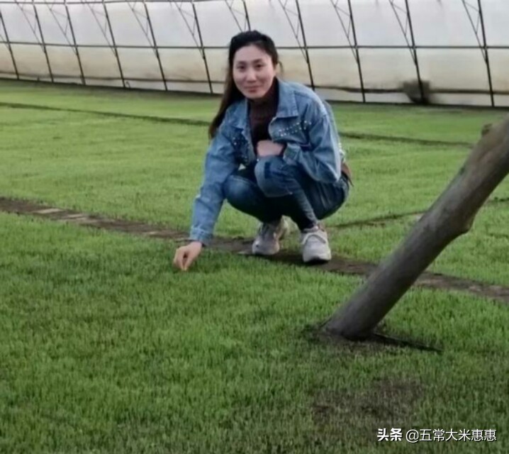 黑龙江省五常市：稻花香水稻缺点一大堆，看完你还会吃吗？