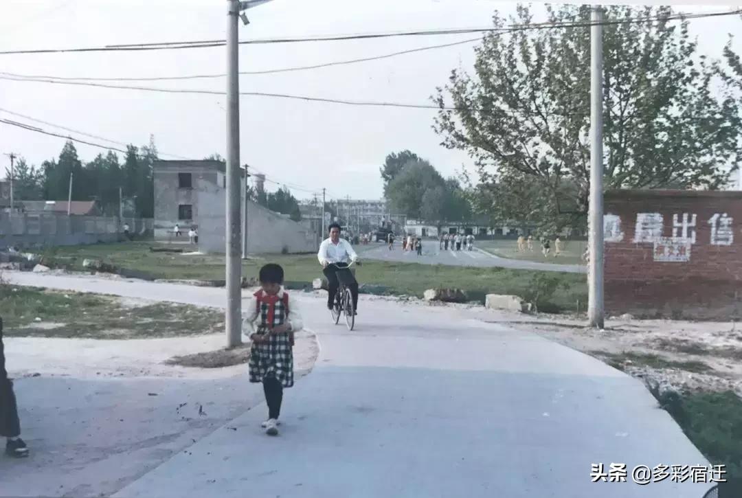 泗洪历史记忆,泗洪金镇老城记忆