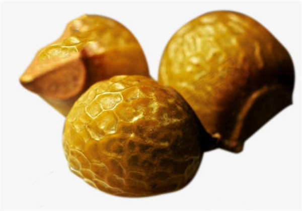 无患子适合什么地方种植,无患子种植适合新疆吗