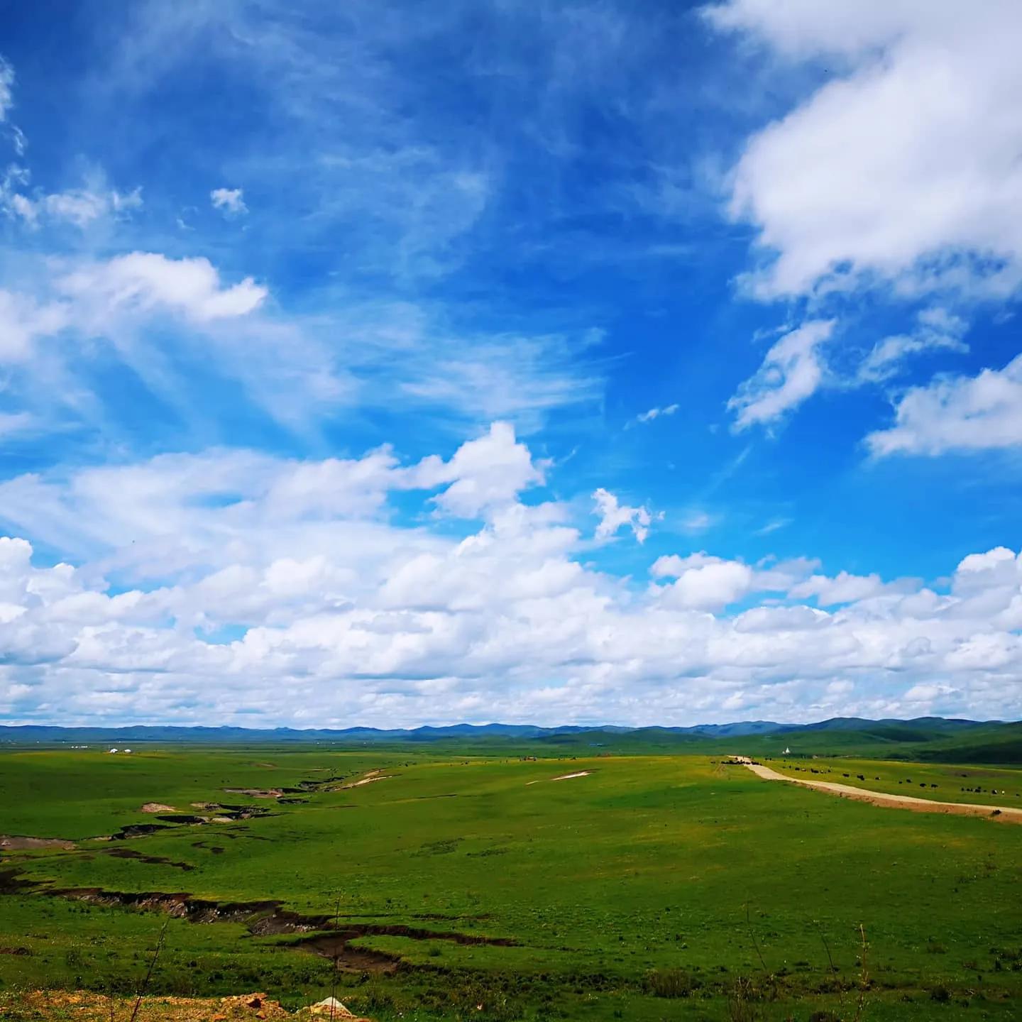 六月中的若尔盖大草原