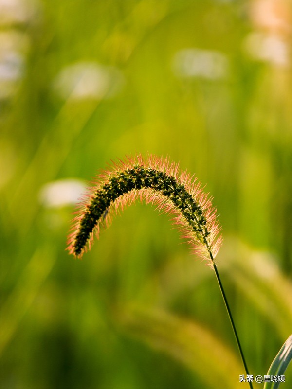 恋人性格多变怎么办,恋人变冷淡怎么办
