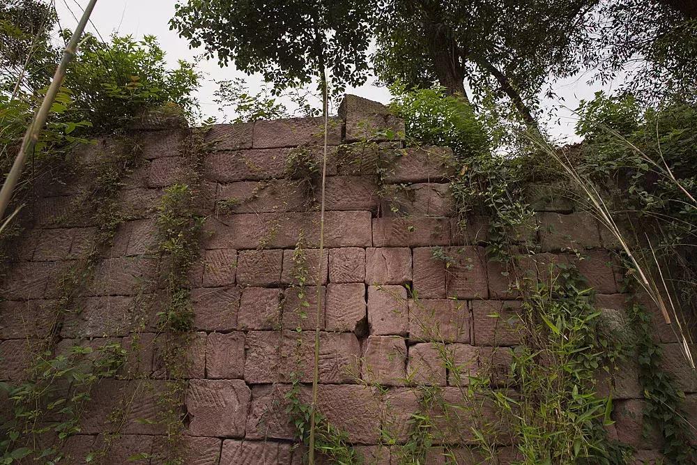 渝北枇杷正黄，冒冒失失穿越铁壁、胜保、斗碗三寨