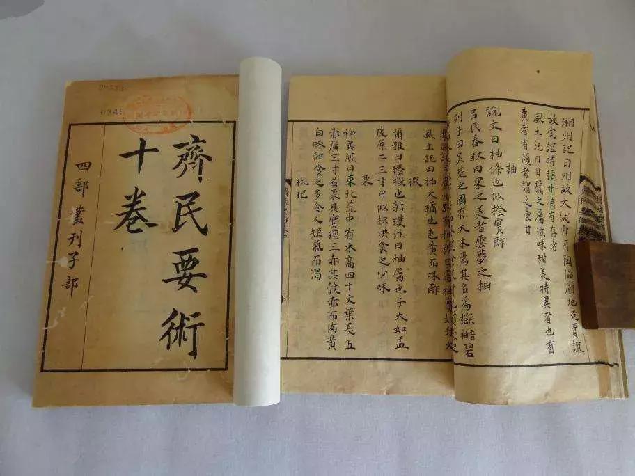 潮汕人说的鱼露,潮汕鱼露什么味道