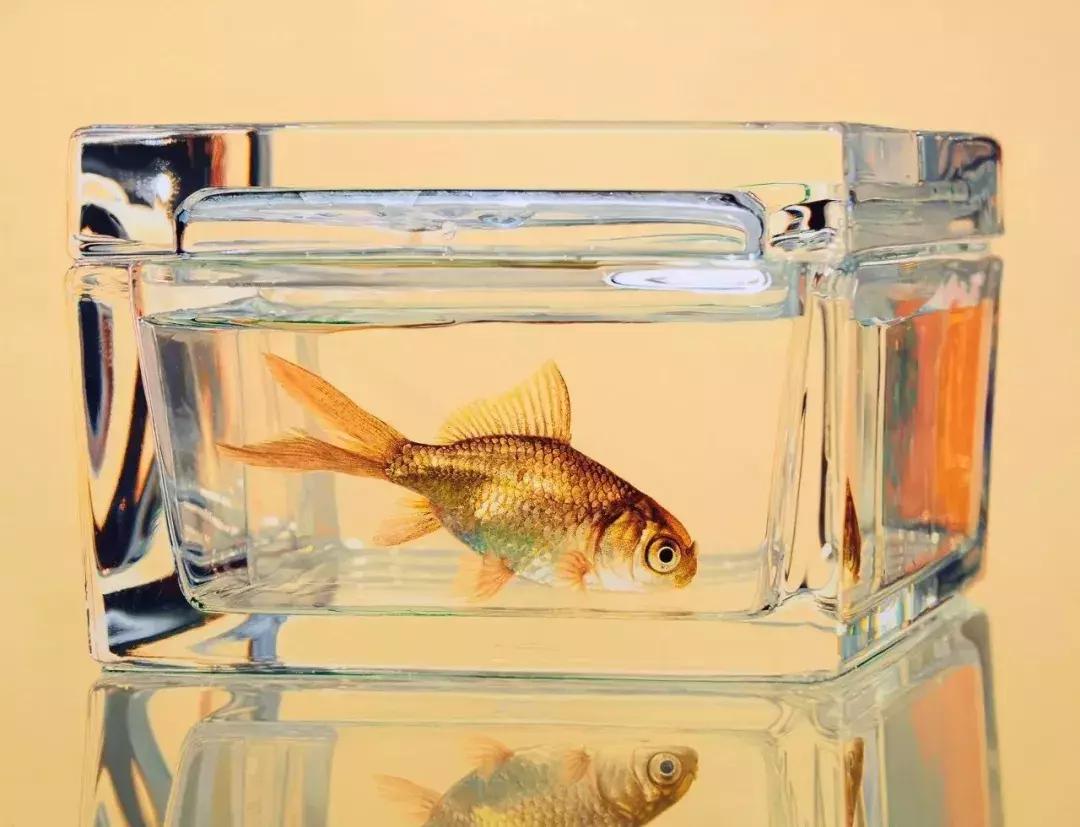 45岁韩国大叔,韩国45岁大叔