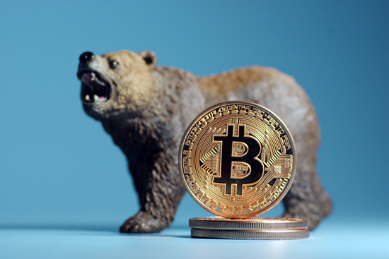 自由落体的钱是什么币,自由落体原价