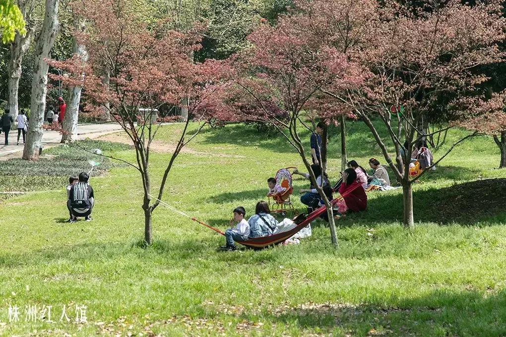 以前的株洲神农公园,株洲神农公园古城