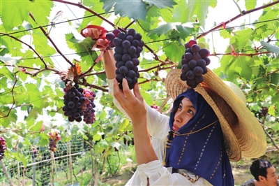 柘荣发展规划,柘荣乡村旅游发展