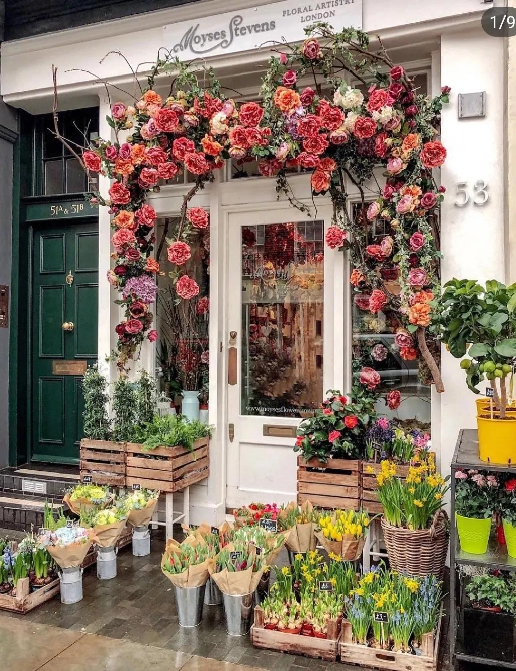 为什么不建议开加盟店,开一家花店有什么好的建议