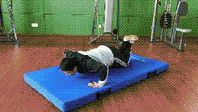 停课不停练居家体育课,停课不停练儿童居家健康体能训练