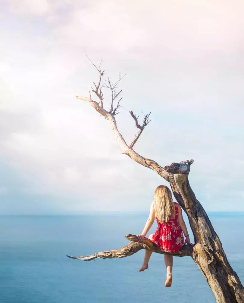 亚航为什么可以提供廉价的机票,亚航特价机票最新消息