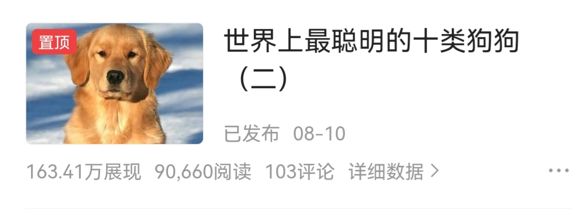 狗礼仪文化,狗尊重主人的表现