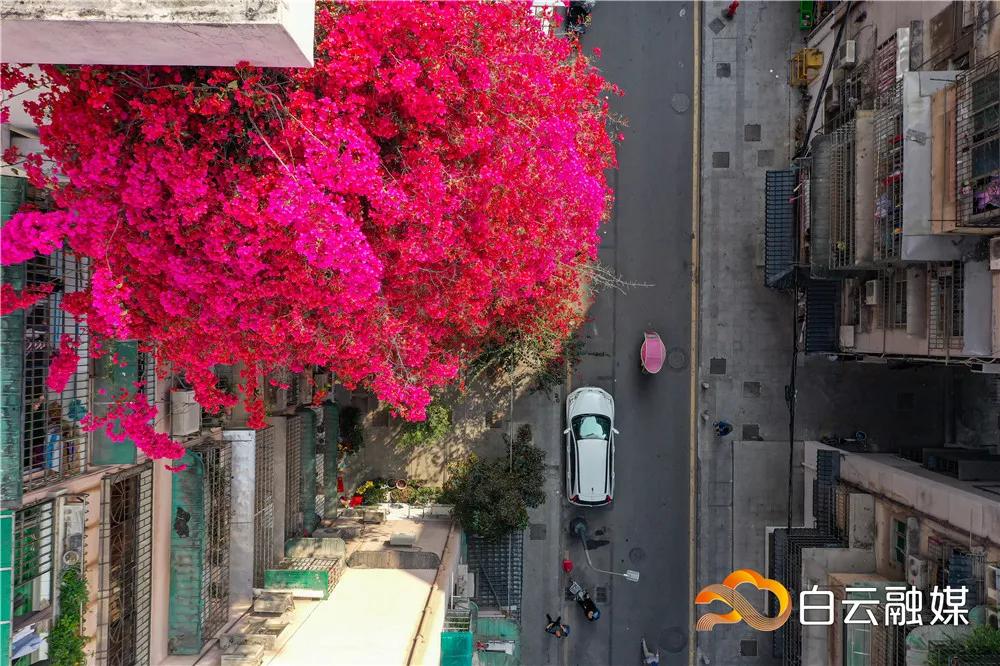 白云看起来很低说明什么,白云看清了自己