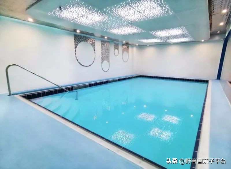 少儿篮球运动哪家好,权威少儿篮球兴趣班机构排名