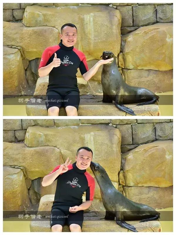 三亚亚特兰蒂斯水世界游玩路线,三亚亚特兰蒂斯水上乐园游玩项目