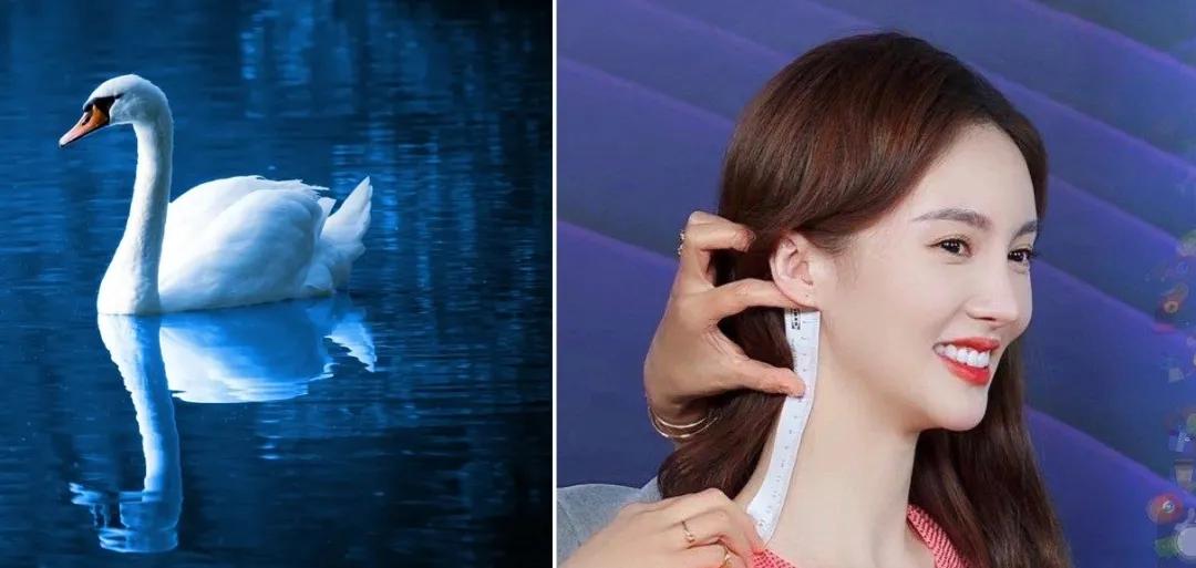 脖子粗和脖子细的对比,细脖子和粗脖子哪个好看