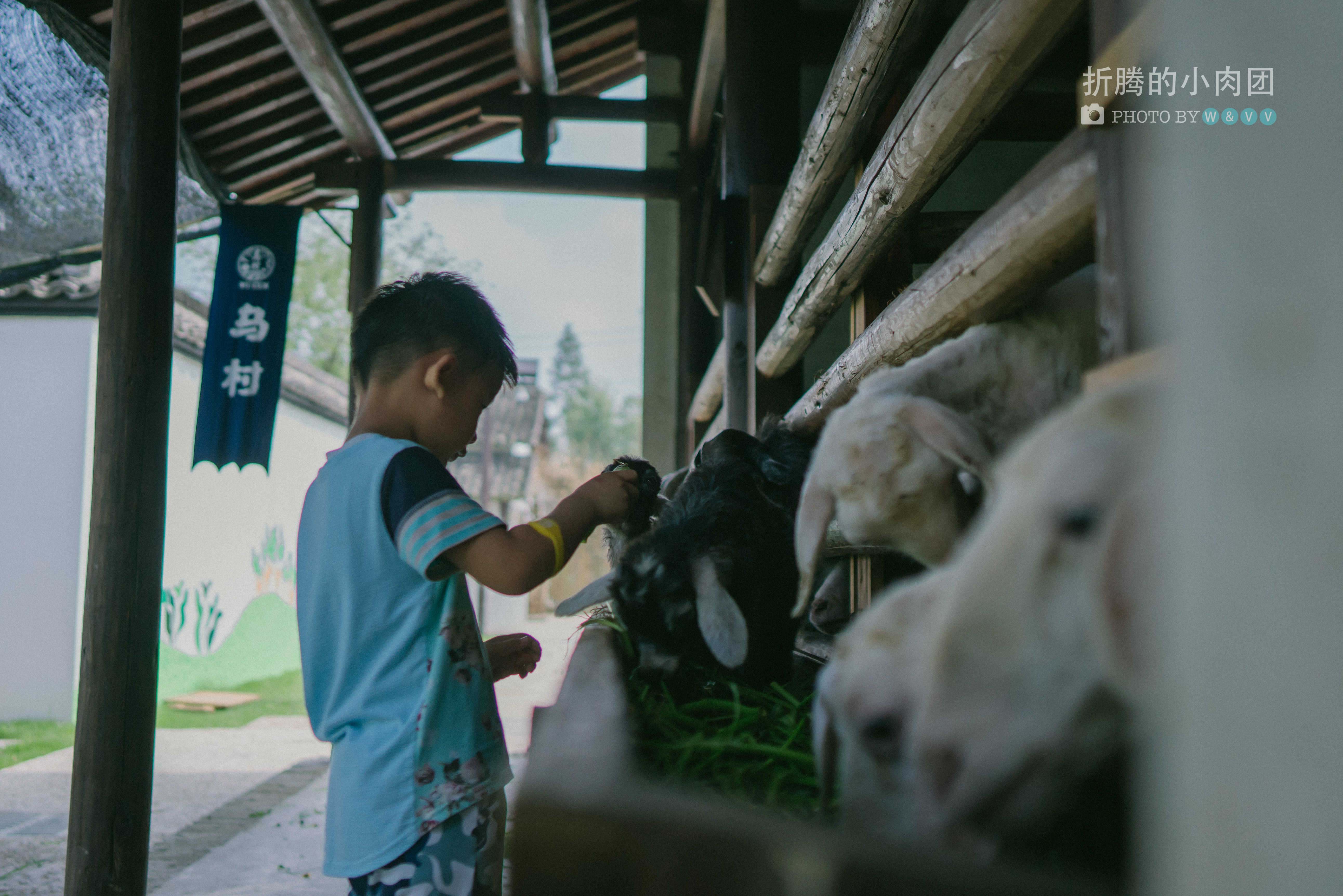 乌村亲子游全攻略,乌村亲子游攻略