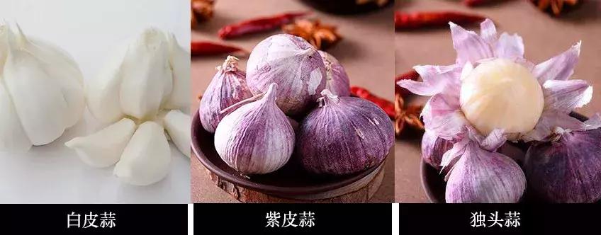 大理网红地方有哪些,云南大理网红景点洱海