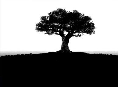 pslab灰色背景通道抠图,ps教程通道调色实例