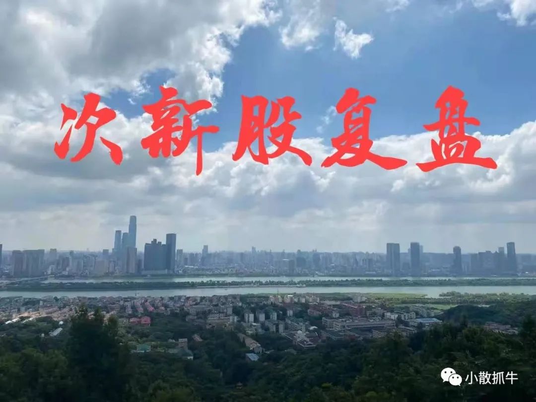 11月11日新股分析和复盘（注册制次新全面爆发）