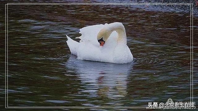 英国湖区景点排行榜,英国旅游推荐海边旅游景点