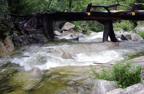 华南地区前五城市是哪些,华南地区第五大城市