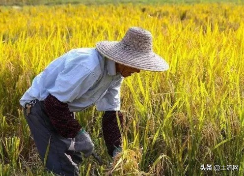 农村耕地占用税最新规定,什么土地不交耕地占用税