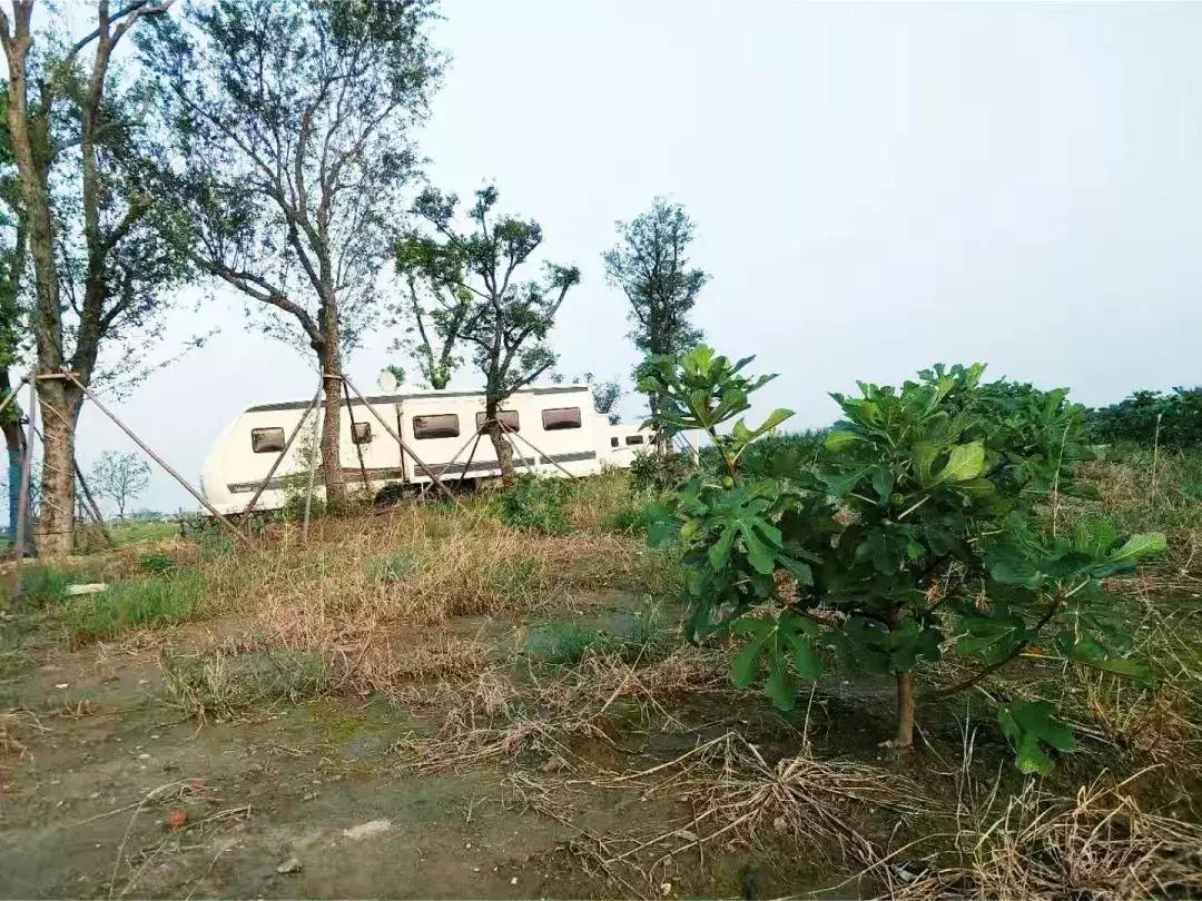 猎鹰飞行执照培训,猎鹰飞行员特训项目