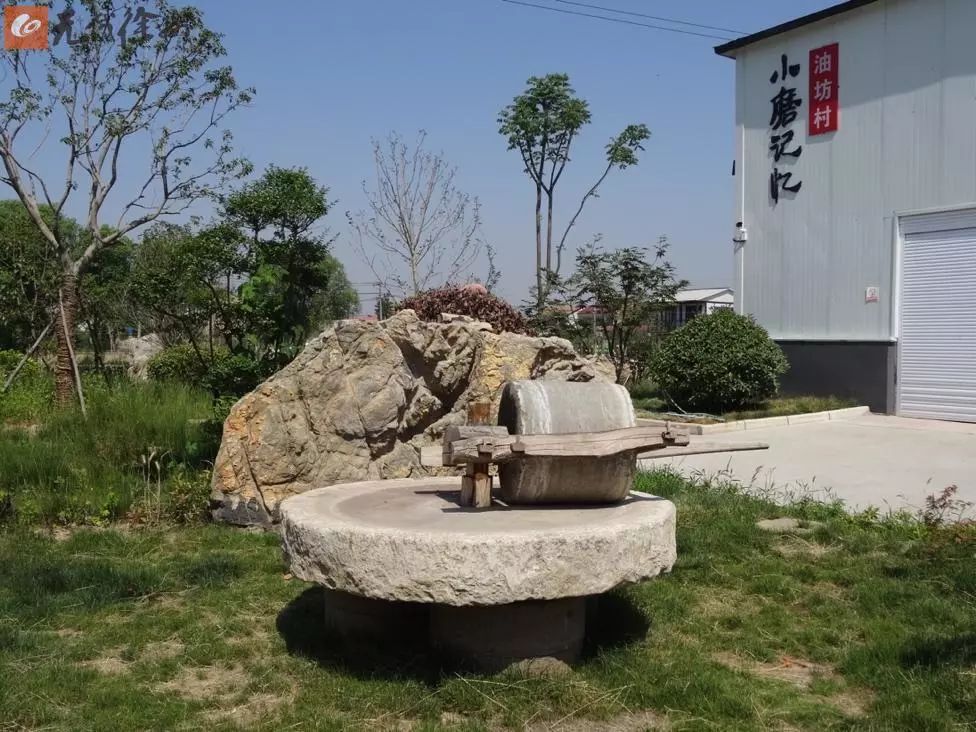 徐州丰县小磨香油,最真实的小磨香油