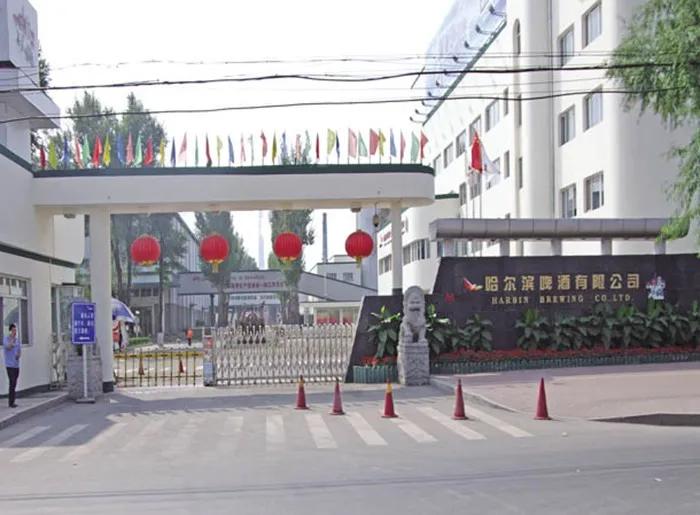 雪花青岛哈尔滨哪个好喝 (雪花哈尔滨青岛哪个啤酒好喝)