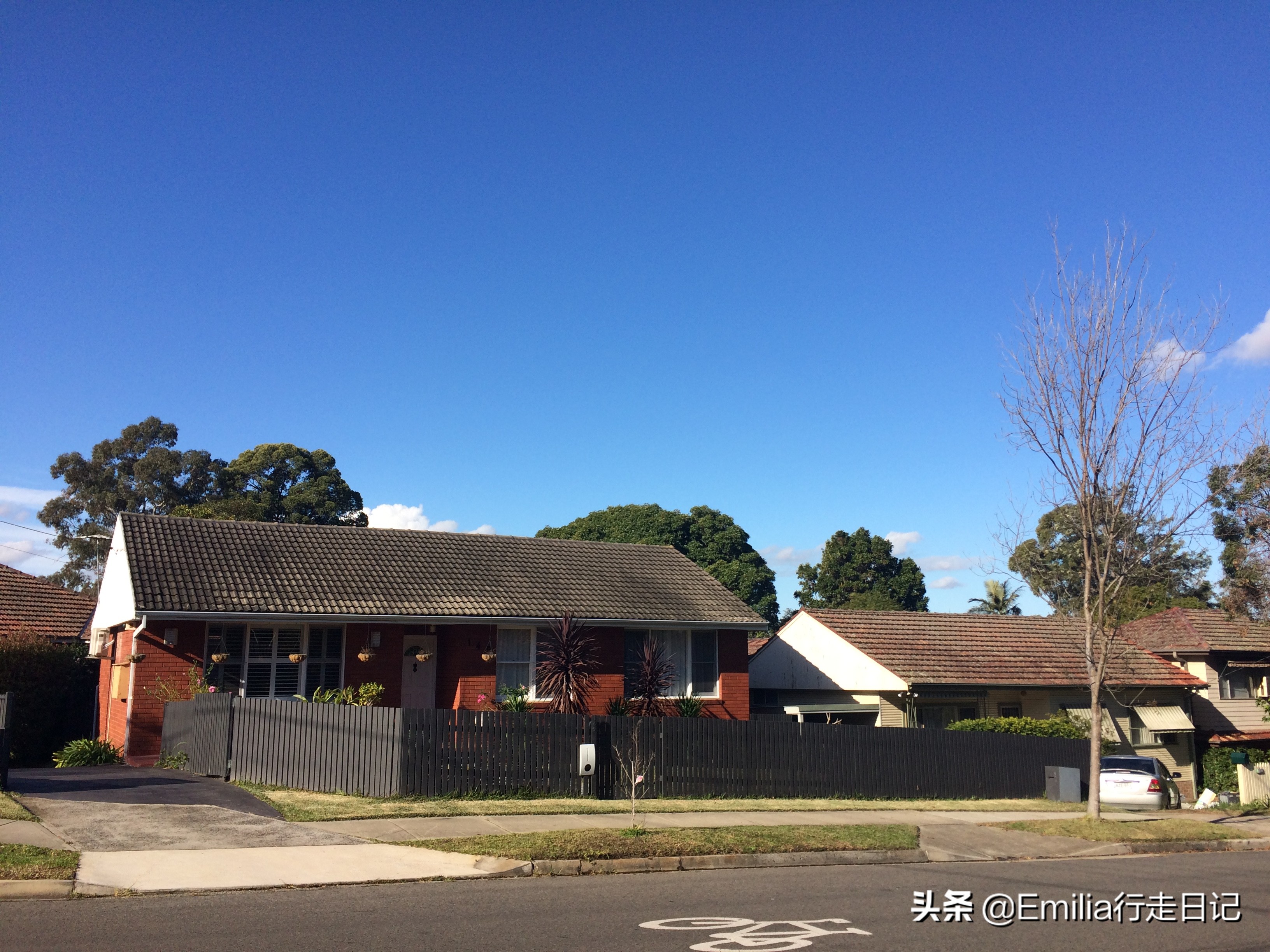 澳洲人居住的真实生活,在悉尼的感受