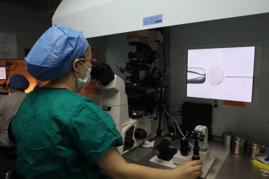 “宝贝，妈妈历经艰辛只为遇见你！”揭秘试管婴儿培育全过程