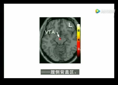 网络赌博成瘾怎么治疗,赌博瘾性心理的治疗