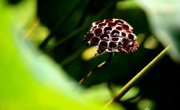 临颍：摄影家大咖走进三高，现场传授摄影秘籍