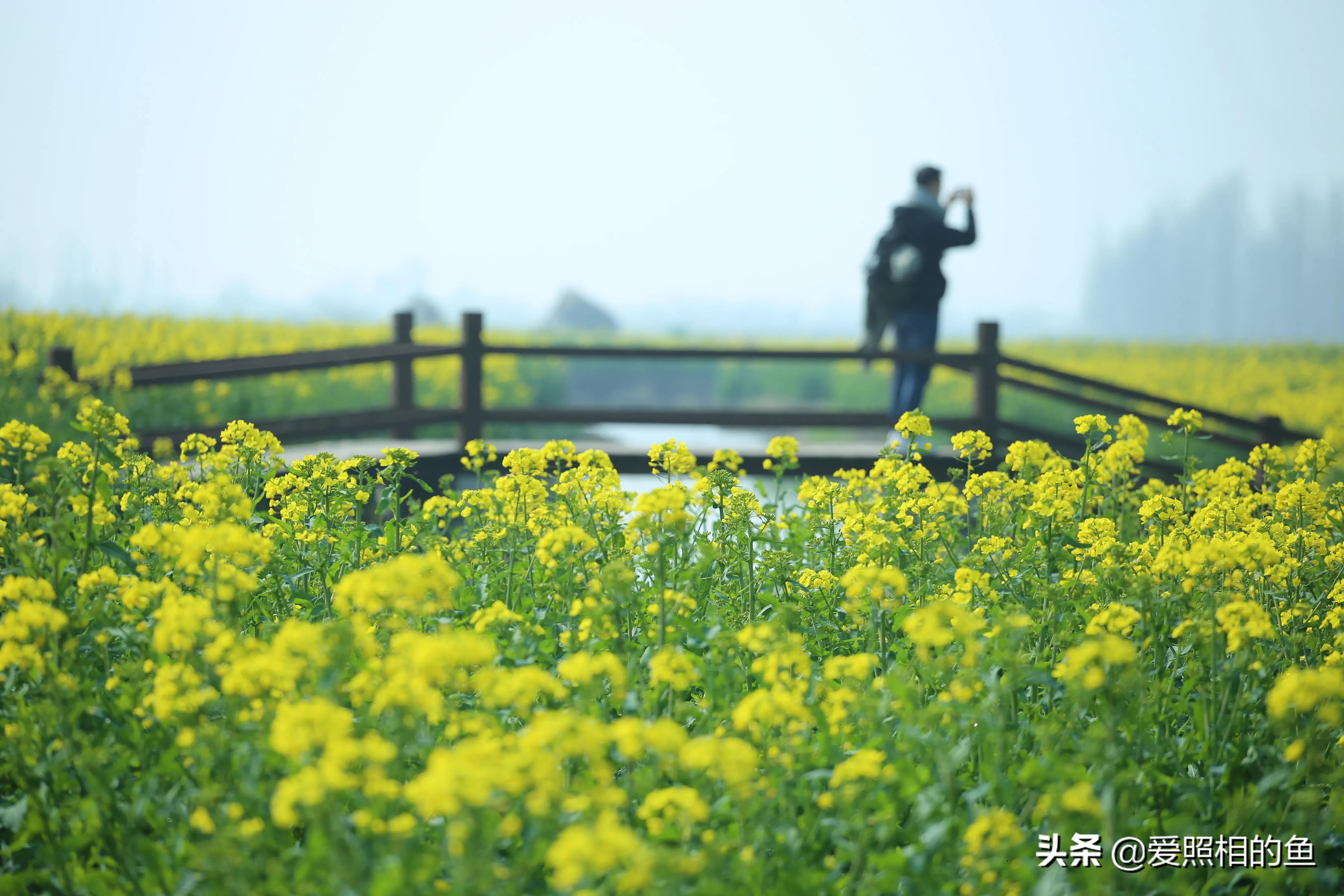 一个普普通通的小镇兴化,兴化为什么没有大城市的繁华