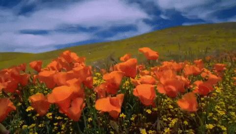 五一适合亲子游的五日游,亏欠孩子的时光用什么补