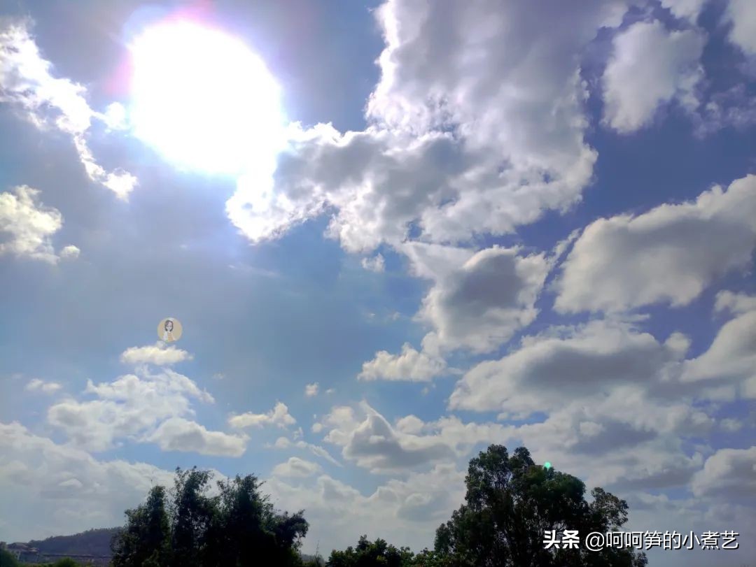 “一鸪顶九鸡”,烤箱蜂蜜鹧鸪,金黄焦脆,鲜嫩多汁,吃了还想吃