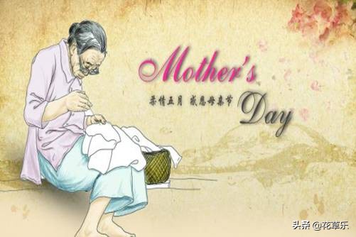 母亲节送鲜花送什么花合适,母亲节送鲜花送哪些花