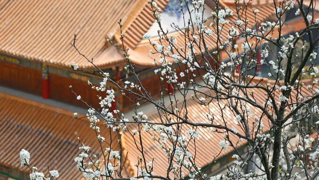 这是一个生机勃勃的地方关于它的故事才刚刚开始