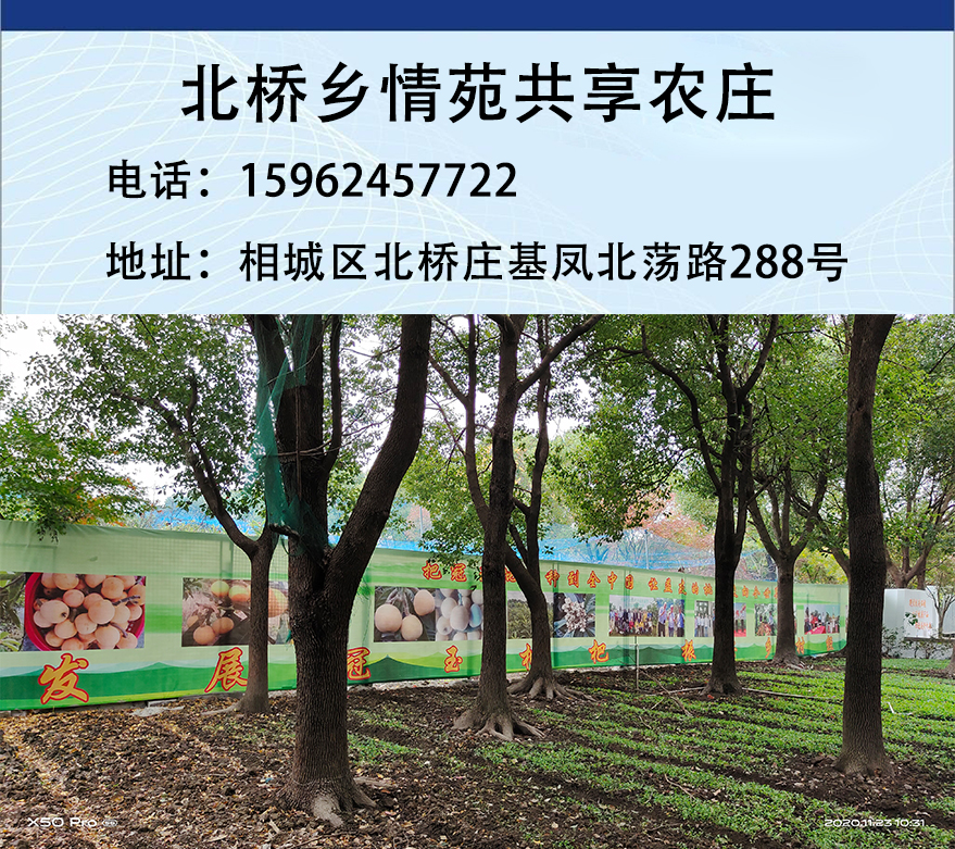 没去过苏州旅游攻略,没去过苏州为什么行程显示去过