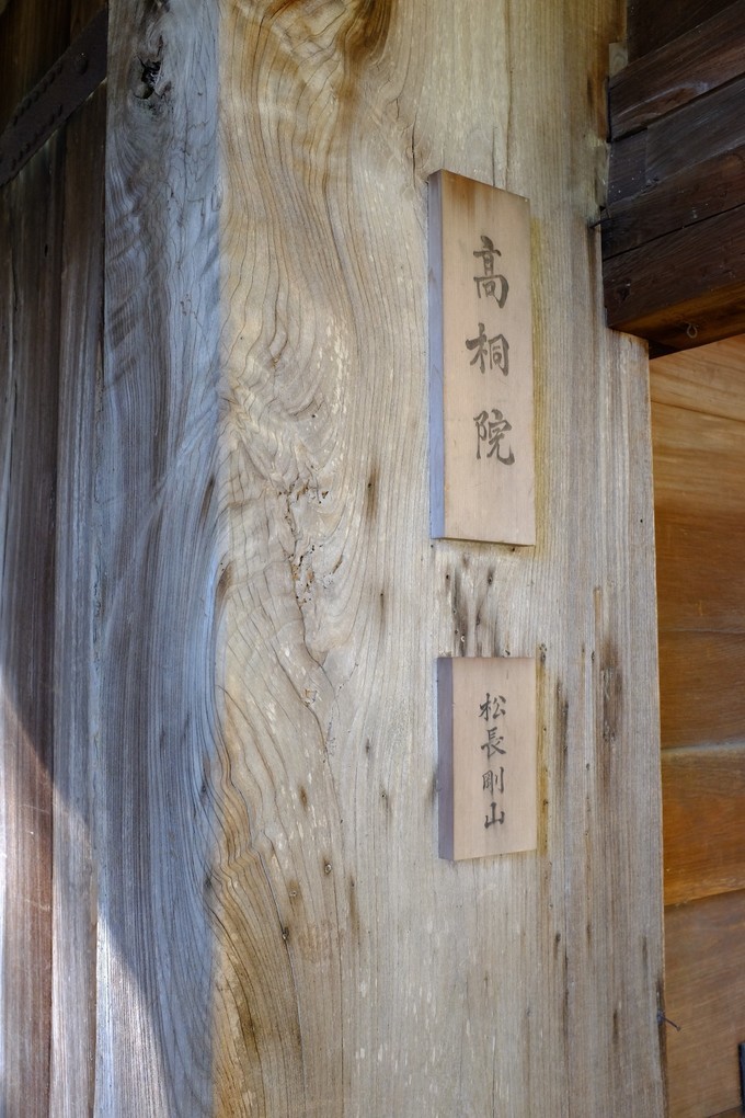 京都赏枫2022,京都赏枫必去景点有哪些好玩的