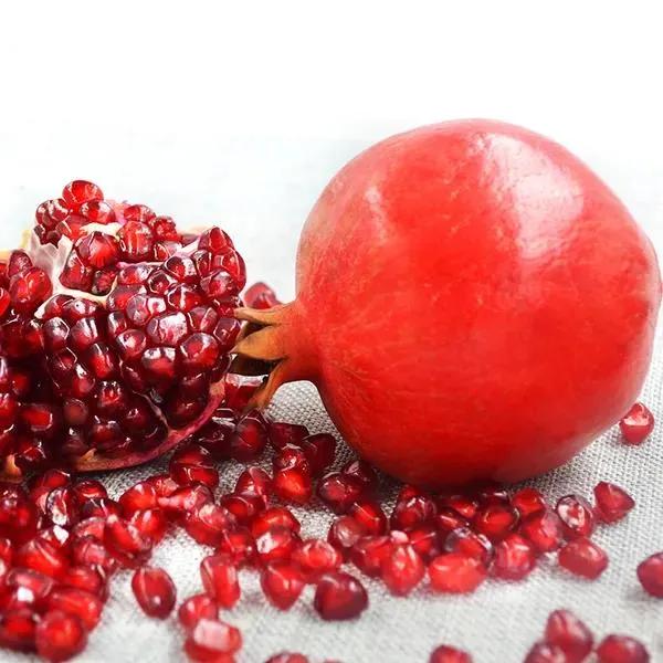 红色宝石树图片,红色宝石