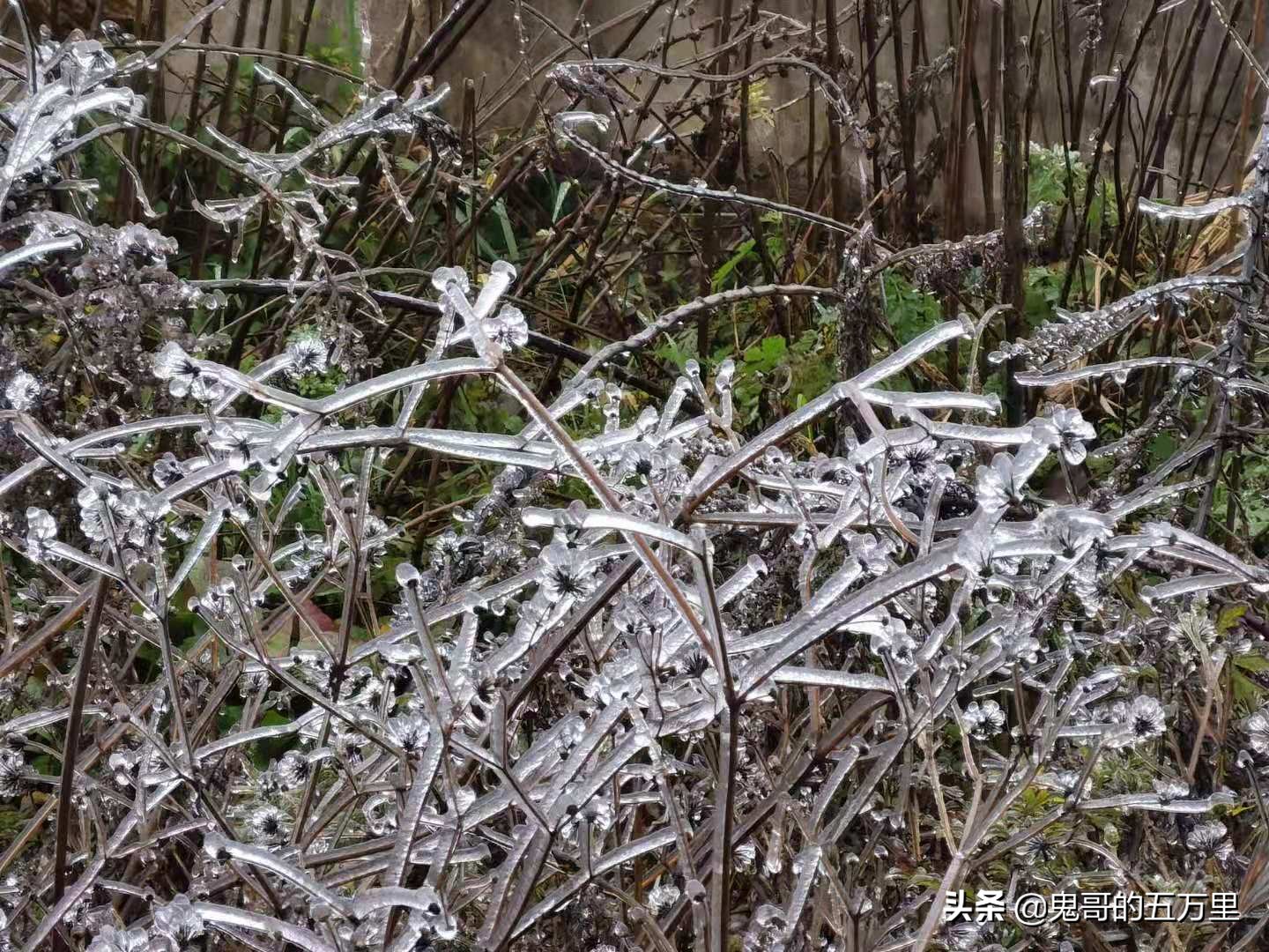 鬼哥的五万里D118骑记：云南，未来可期,泸西县-罗平县