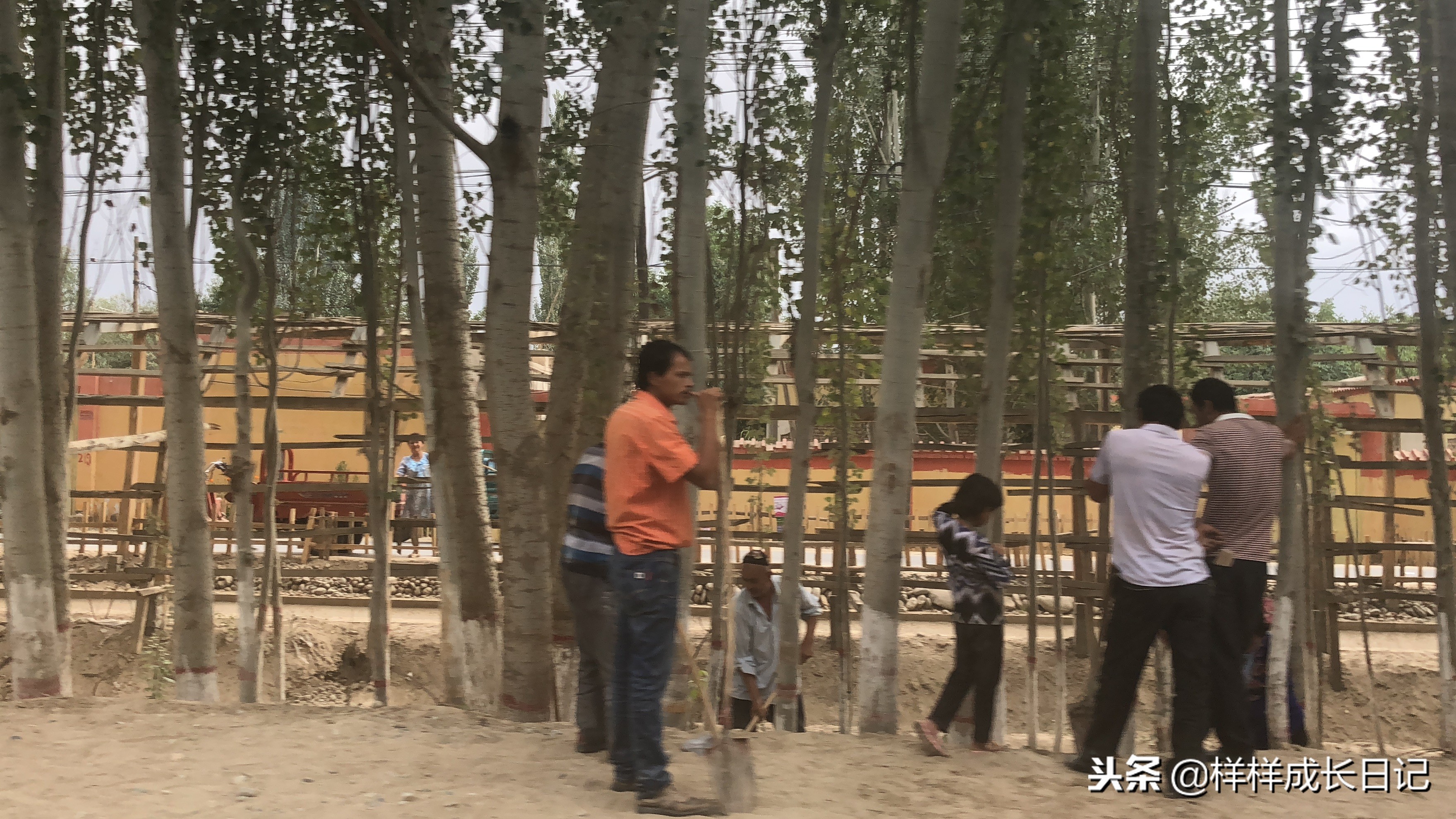 最新版新藏线叶城拉萨骑行攻略,219新藏线自驾游从叶城出发