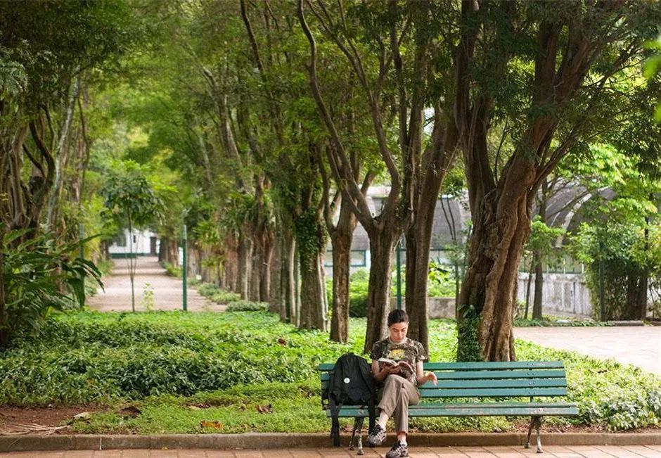 在地球的另一端相遇,在地球的另一端完整版