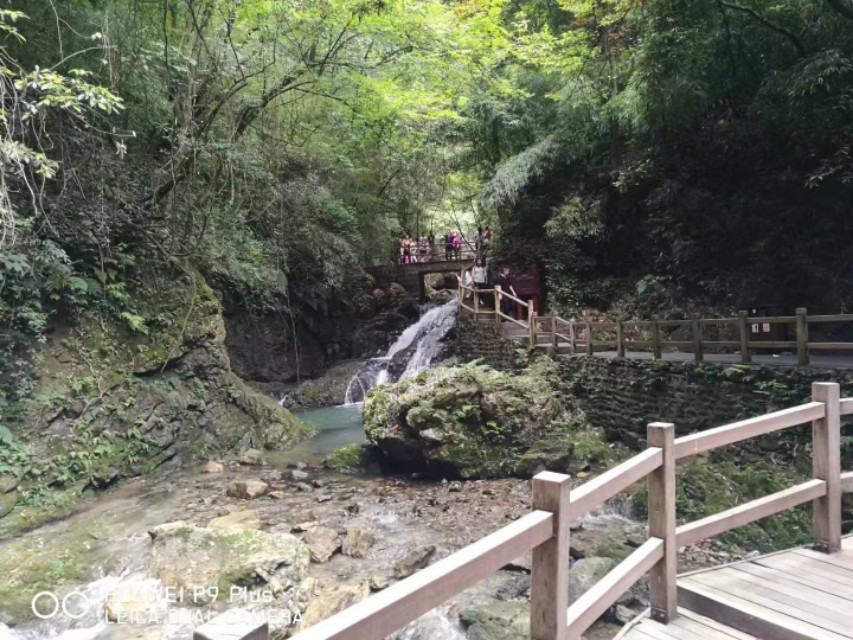 重庆黑山谷避暑适合吗,重庆避暑7天黑山谷